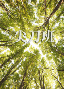 国产资源中文字幕
